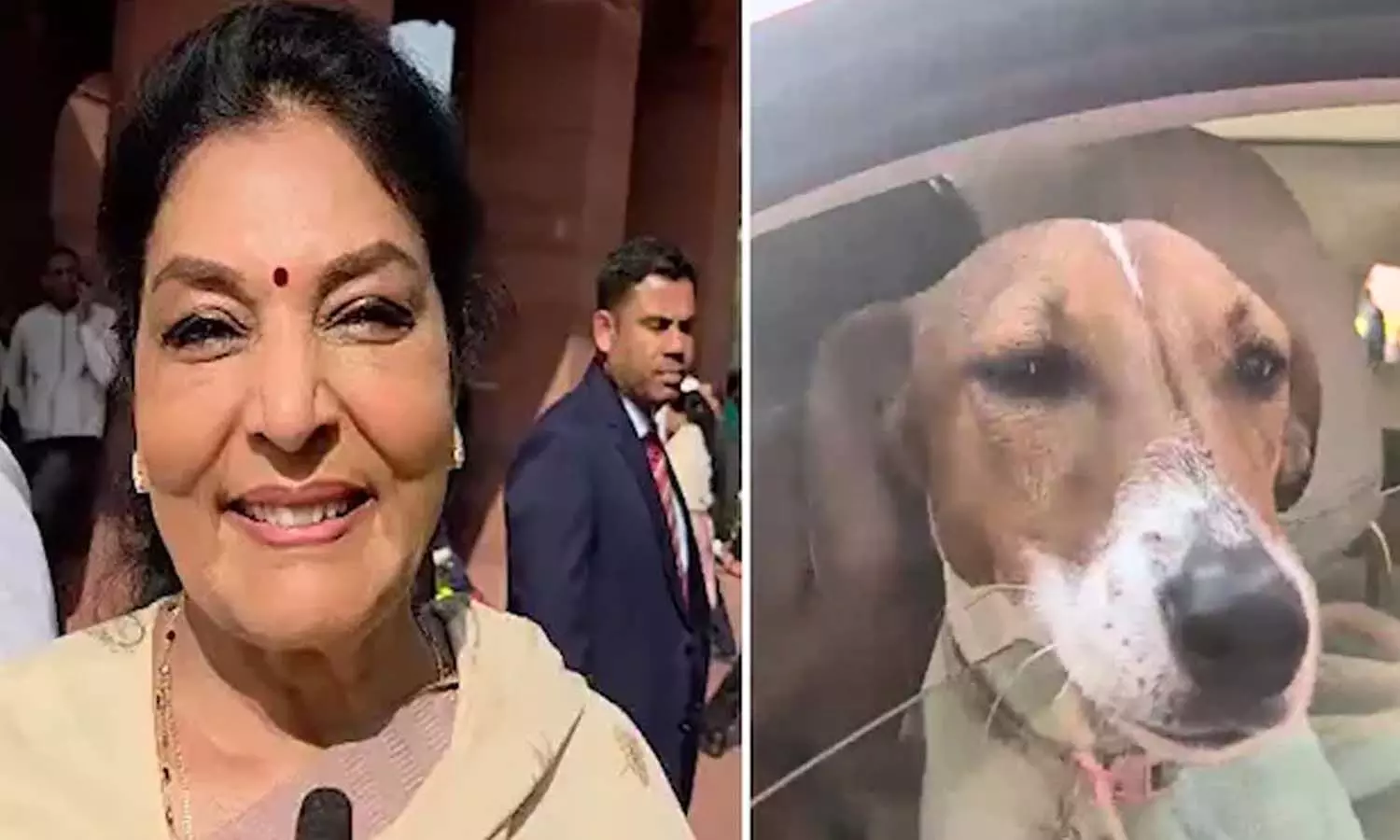 Congress, MP Renuka Chowdhury, dog, Parliament, National news