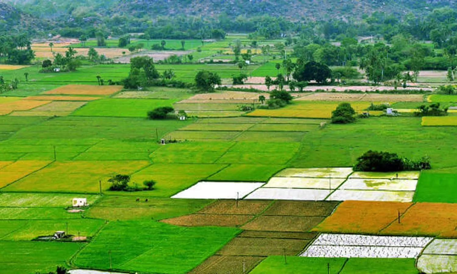 mBhudhar App, Bhudhar cards, farmers, Telangana government