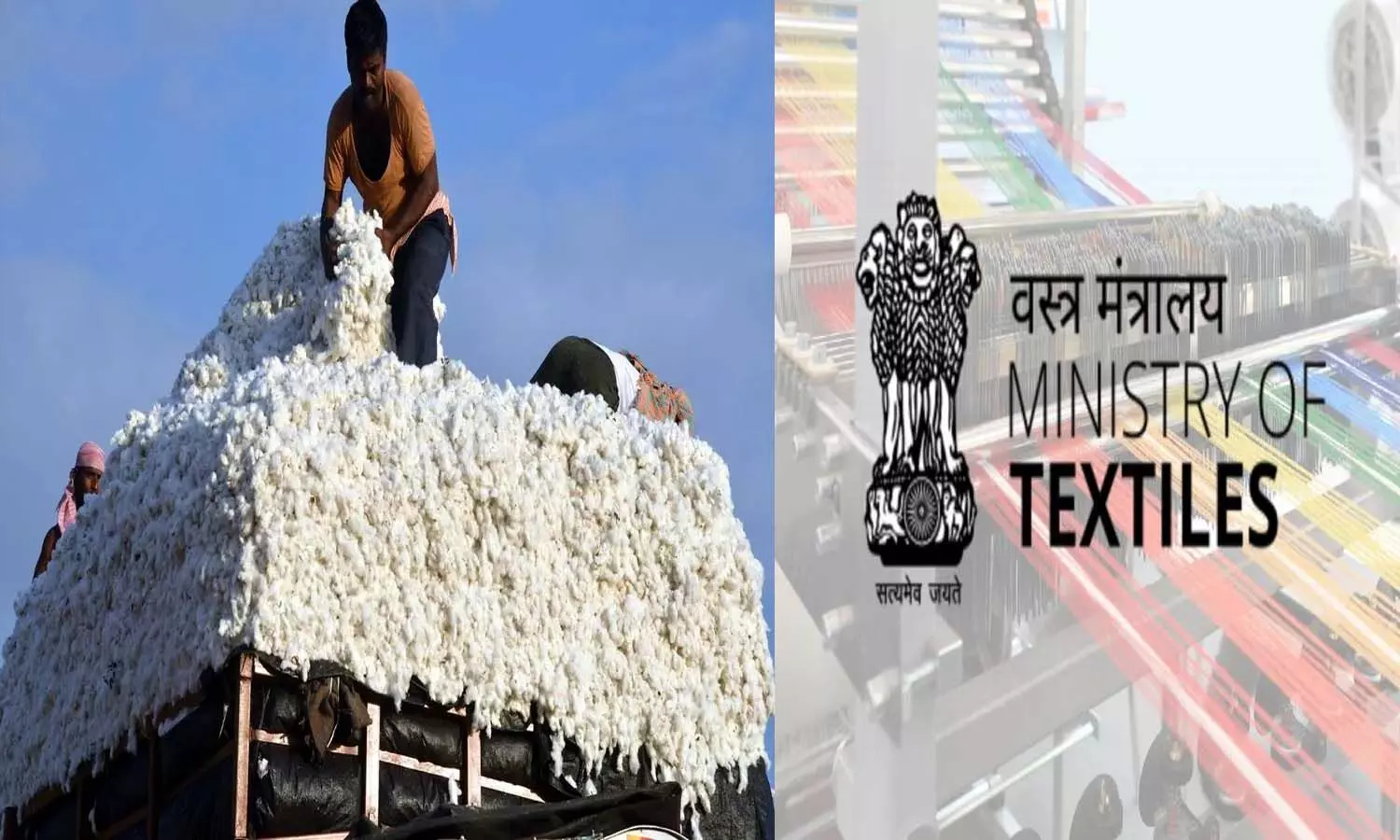 National News, Delhi, Central Government, Union Textile Ministry, cotton prices National News, Delhi, Central Government, Union Textile Ministry, cotton prices