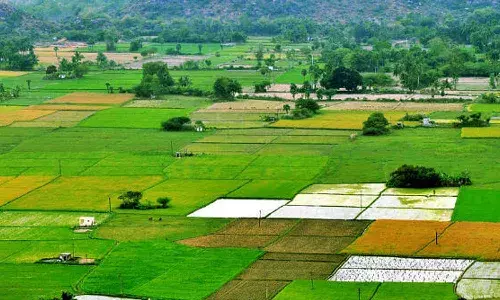 mBhudhar App, Bhudhar cards, farmers, Telangana government