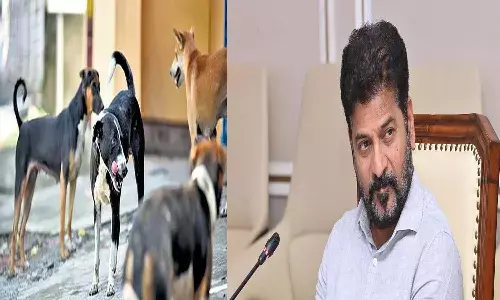Hyderabad News, Hayathnagar,CM Revanth Reddy, stray dogs attack, Dumb Boy