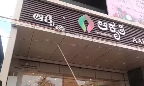 Language dispute, Karnataka, Kannadigas, Telugu letters