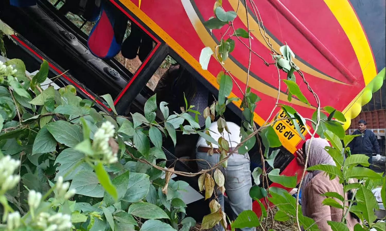 Andrapradesh, Alluri District, bus accident, AP Police, Private Travells Bus, 9 dead