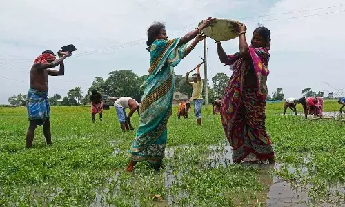 PBGRY, Union Cabinet, Employment Guarantee Scheme, Pujya Bapu Rural Employment Guarantee Scheme, National news