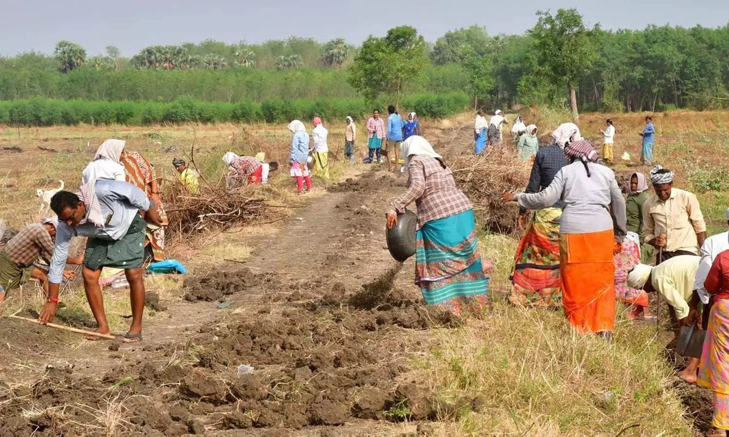 PBGRY, central govt, employment guarantee working days, revised the wages, NREGA PBGRY, central govt, employment guarantee working days, revised the wages, NREGA