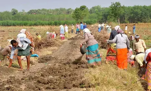 PBGRY, central govt, employment guarantee working days, revised the wages, NREGA PBGRY, central govt, employment guarantee working days, revised the wages, NREGA