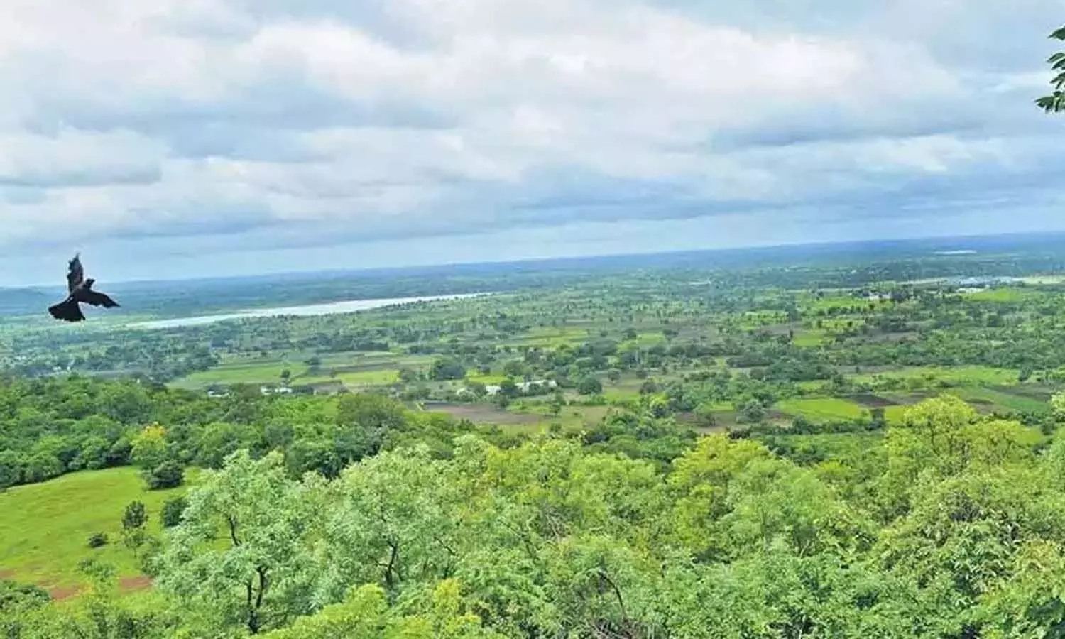 Navy ELF radar station, Telangana High Court, report, Central and State Govts, biodiversity conservation measures Navy ELF radar station, Telangana High Court, report, Central and State Govts, biodiversity conservation measures