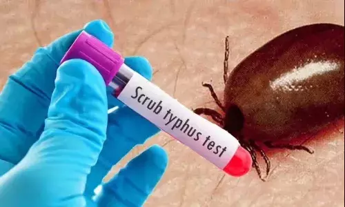 Andrapradesh, scrub typhus victims, Health Department