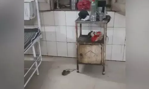 Telangana, Ban, eating food, government hospital wards,Medical Health Department