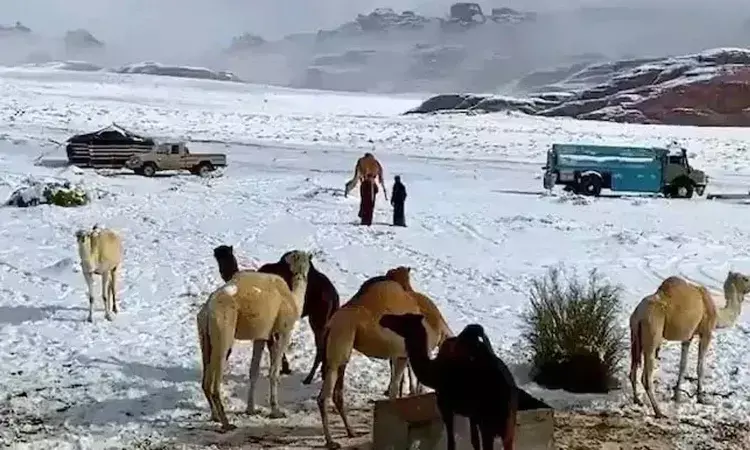 Rare snowfall , Saudi deserts,  big warning for India, National news
