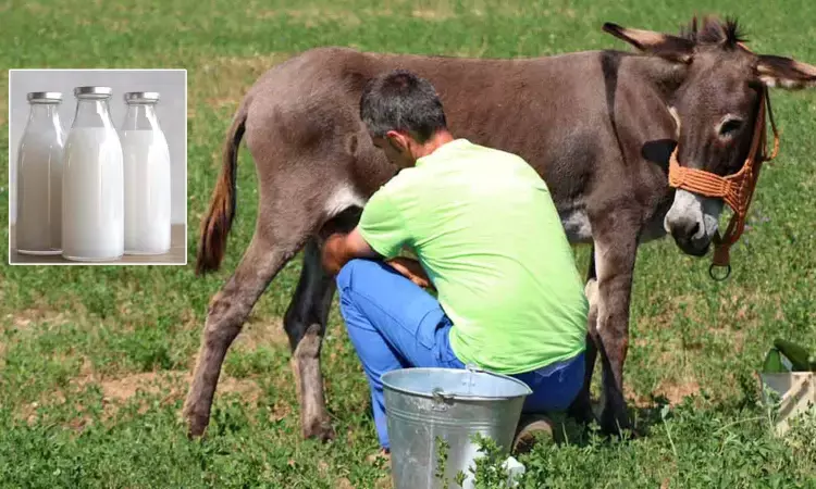 donkey milk,Nutritional properties, Lifestyle