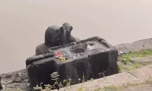 Konaseema district, One held, vandalising shivalingam, Draksharamam temple, APnews