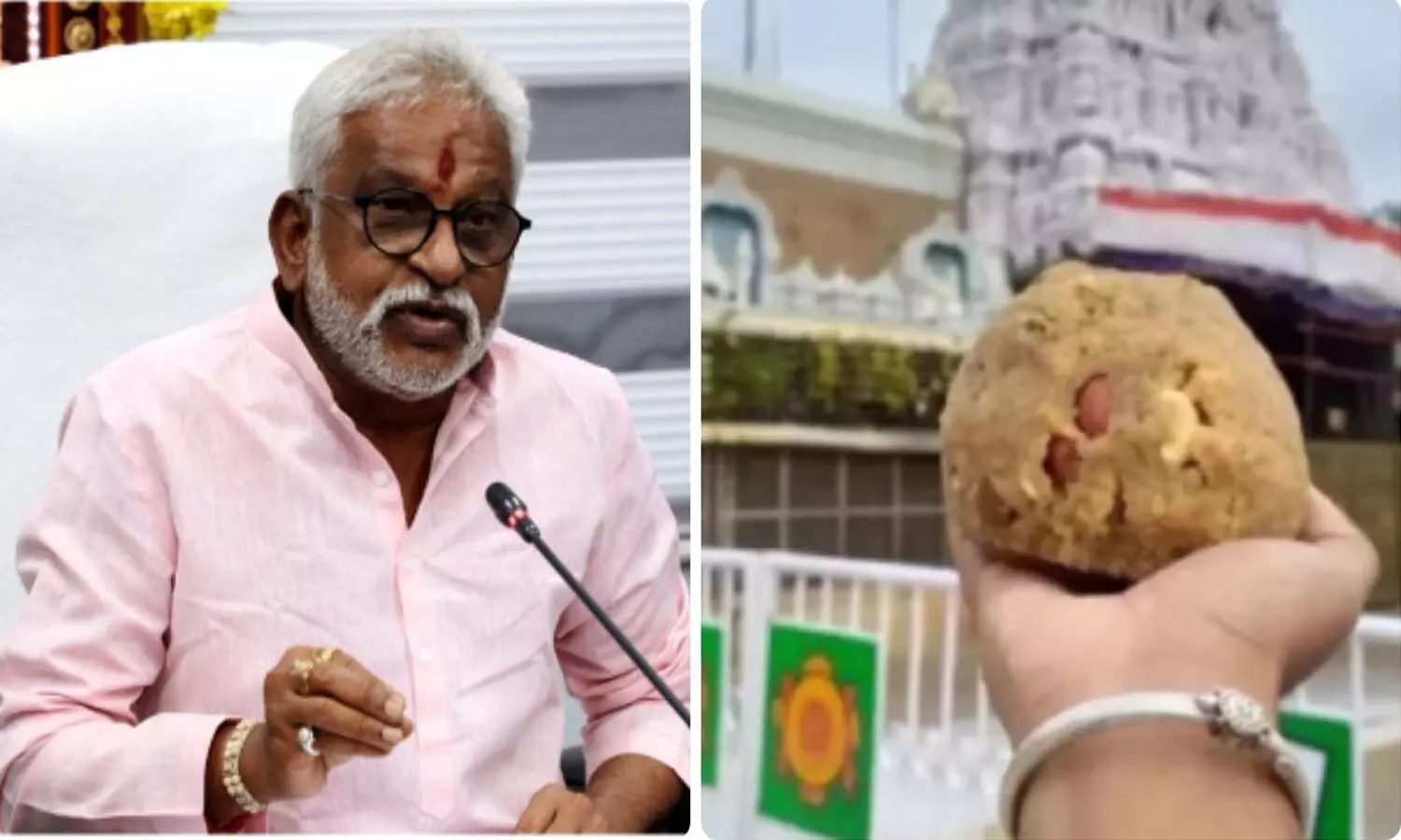 Andrapradesh,Tirumala, TTD Laddu, Tirumala laddu adulteration case, YV Subba Reddy, Ysrcp, Delhi High Court Andrapradesh,Tirumala, TTD Laddu, Tirumala laddu adulteration case, YV Subba Reddy, Ysrcp, Delhi High Court