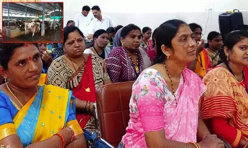 Telangana government, Indira Dairy Project, women groups, Telangana, Madira