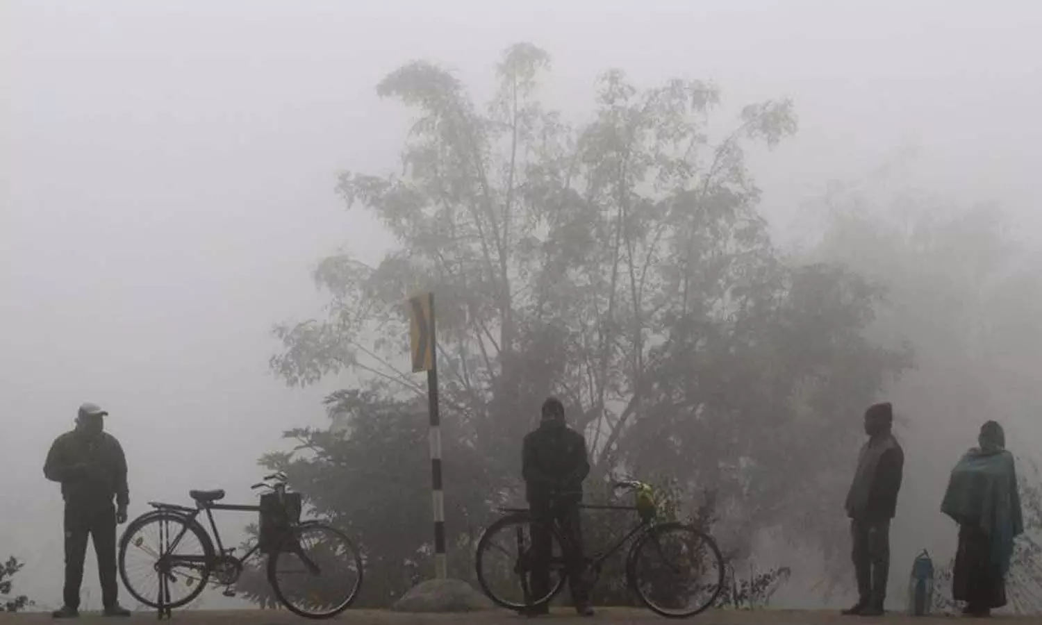 Dense fog, cold wave, IMD warns, National news,Weather Dense fog, cold wave, IMD warns, National news,Weather