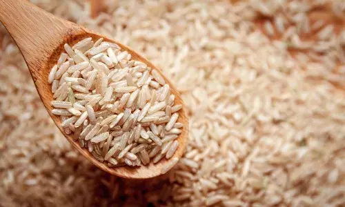Brown rice, Health benefits, Lifestyle, Plain rice