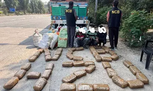 Crime News, Hyderabad, Narcotics Control Bureau, Ganja