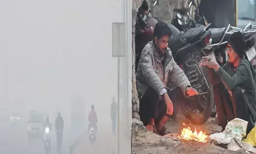 National News, Weather News, Cold Wave Alert, India Meteorological Department, Delhi, Northern states