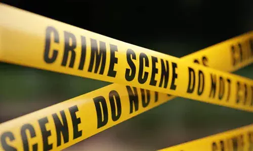 Russian man kills lover, Goa , dispute, Crime