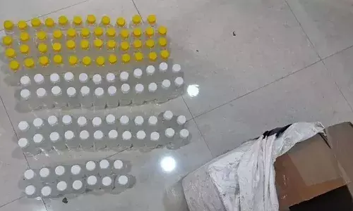 DCA, seized, oxytocin injections, increase milk production, cattle, Adilabad