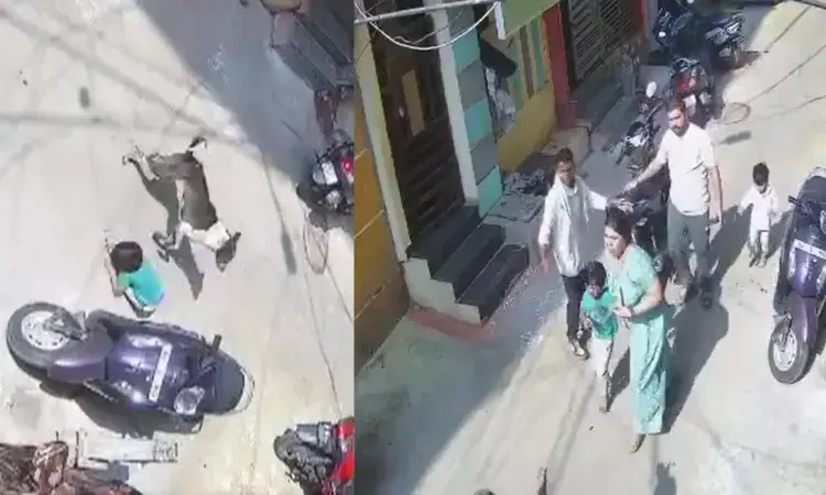 Hyderabad News, Khairatabad, Dog Attack On Child, Ghmc Hyderabad News, Khairatabad, Dog Attack On Child, Ghmc