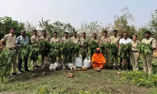 Priest, arrest, cultivating marijuana, temple premises, Sangareddy district