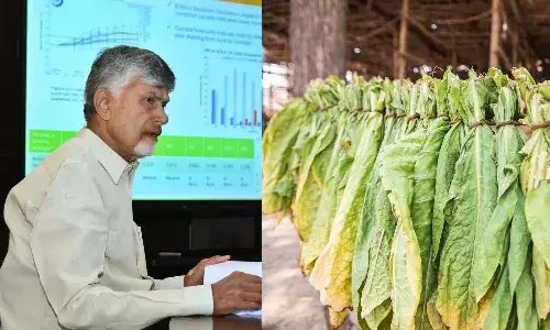Zero Duty, Raw Tobacco Products, AP Farmers, CM Chandra babu Naidu, APnews