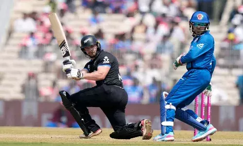 T20 World Cup, Sports News, New Zealand, Afghanistan