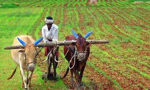 Rythu Bharosa 2026, Telangana Farmers News, Yasangi Rythu Bharosa, Revanth Reddy Farmer Scheme