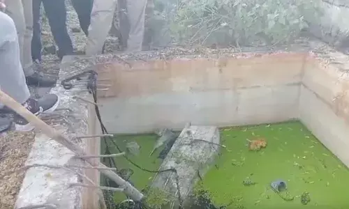 Womans body found in iron trunk,  Bhopal, Madhyapradesh, Crime