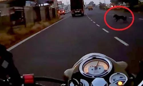 Techie Dies After Trying To Avoid Dog Near Ghatkesar, Road accident in Ghatkesar, techie dies in road accident, bike overturns after losing control due to dog