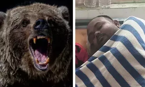 Odisha, woman fights off bear, attack, husband, Crime