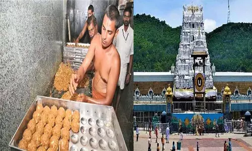 Andrapradesh, Tirumala, TTD, Tirumala Laddu, AP Government, Laddu Adulteration, DineshKumar Commission
