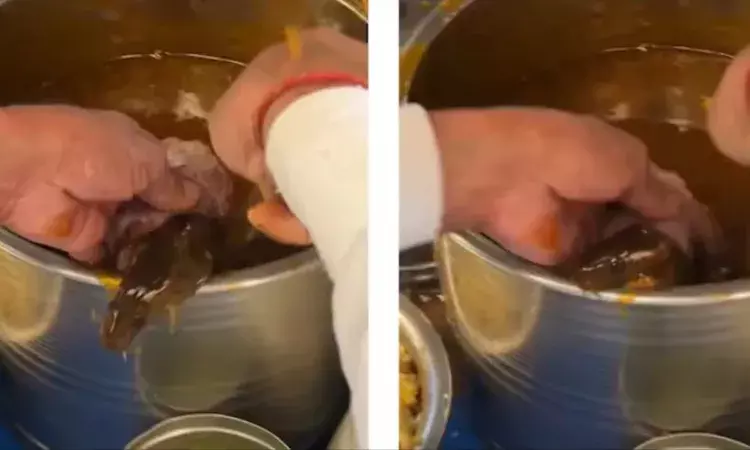 Viral Video : పానీ పూరీ మిశ్ర‌మంలో బ‌తికున్న ఎలుక‌.. తినేవారంతా..