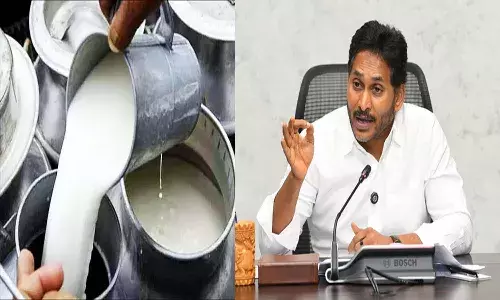 Andrapradesh, YS Jagan, YSRCP, Rajamahendravaram, Milk Adulteration, Health Emergency