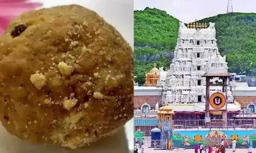 Andrapradesh, TTD Ghee Scam, YSRCP, CM Chandrababu, Heritage Foods, Tirumala, AP Politics