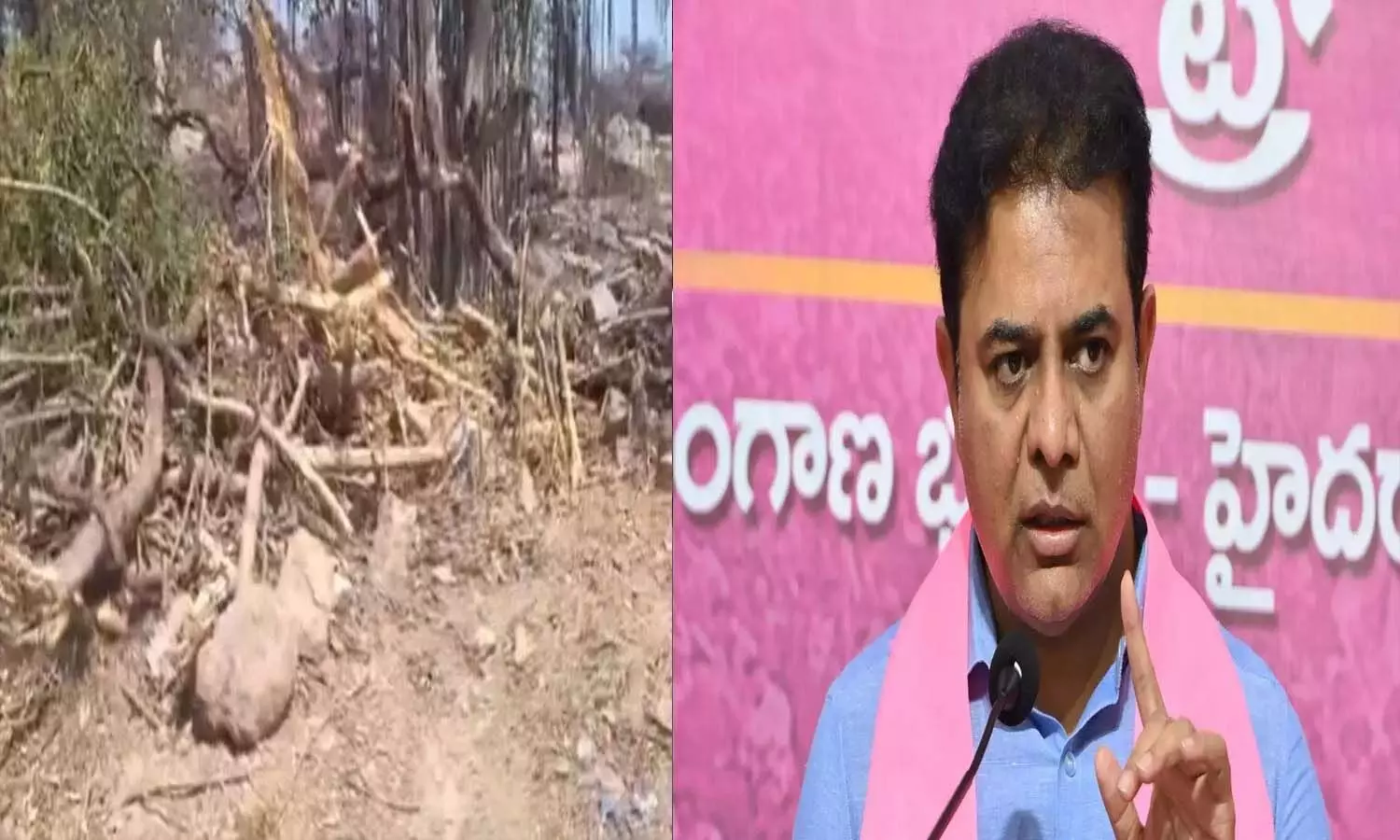 Telangana, KTR, BRS, Congress Govt, Palle Prakruthi Vanam, Mahabubnagar, KCR, CM RevanthReddy Telangana, KTR, BRS, Congress Govt, Palle Prakruthi Vanam, Mahabubnagar, KCR, CM RevanthReddy