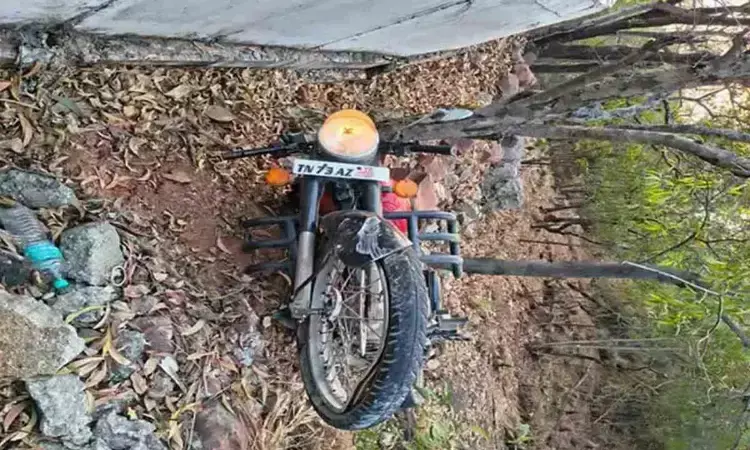 తిరుమల ఘాట్ రోడ్డులో విషాదం తిరుమల ఘాట్ రోడ్డులో విషాదం