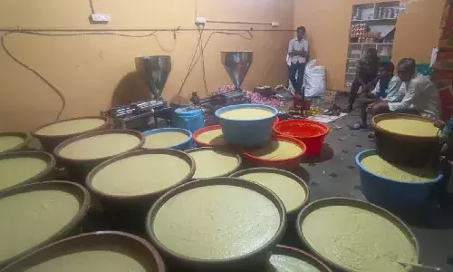 Adulterated Ginger-Garlic Paste, Hyderabad Task Force Raid, Khairtabad News, Food Safety Hyderabad, JJ Food Adulteration, FSSAI License Expired, BNS Sections, Health Risk