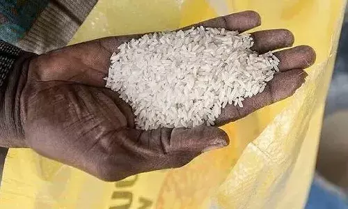 Rice Fortification, PMGKAY, Central Government Decision, PDS Rice, IIT Kharagpur Study, Micronutrients, Fortified Rice Kernels, Food Welfare Schemes, Indian Rice Millers