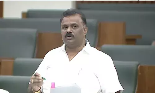 పెండింగ్ రెవెన్యూ కేసుల పరిష్కారానికి ప్రత్యేక వ్యవస్థ