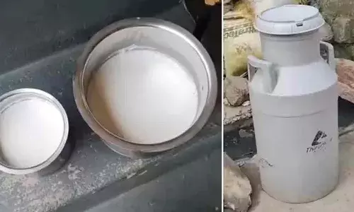 Milk Adulteration Tragedy, Ethylene Glycol Poisoning, Rajahmundry News, Acute Renal Failure, Varalakshmi Milk Centre, Contaminated Milk Deaths, Forensic Science Laboratory (FSL), Kidney Damage Victims