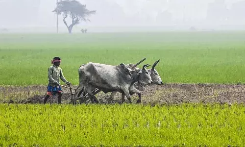 రైతులకు గుడ్‌న్యూస్‌.. ఎల్లుండే పీఎం కిసాన్‌ నిధుల విడుదల.. మీ పేరు ఉందో లేదో ఇలా చెక్‌ చేసుకోండి
