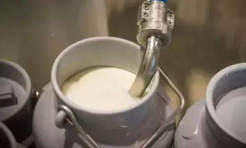 Andrapradesh, EastGodavari, Milk Adulteration, Tragedy, Adulterated Food