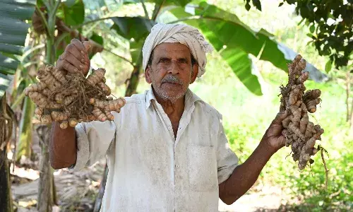 రైతు రోశయ్యకు ముఖ్యమంత్రి చంద్రబాబు ప్రశంస