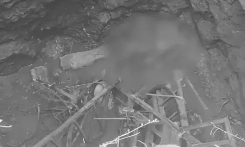 Bhupalpally Well Accident, Korikishala Village Tragedy, Mogullapally Mandal, SSC Student Abilash Death, Crane Rope Snapped Accident, Desilting Operation Death, Jayashankar Bhupalpally News