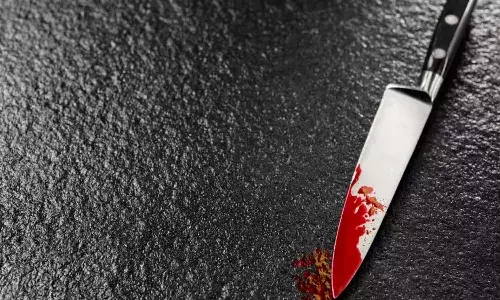 Crime News, Karnataka, Bengaluru Crime, Domestic Violence, Murder Case