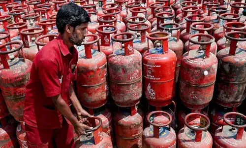 National News, Delhi, LPG Supply, Central Government, PNG Connection, Petroleum Ministry