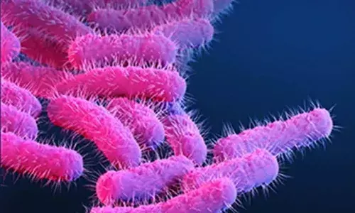 Shigella Outbreak, Kerala Health News, Peruvayal Grama Panchayat, Contaminated Water, Gastrointestinal Infection, Chlorination Drive, RRT Team, Public Health Alert