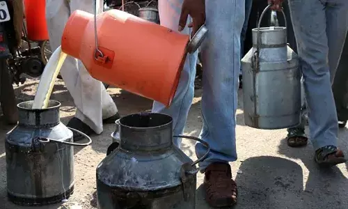 Andrapradesh, Rajahmundry, Adulterated Milk Tragedy, 16 Deaths